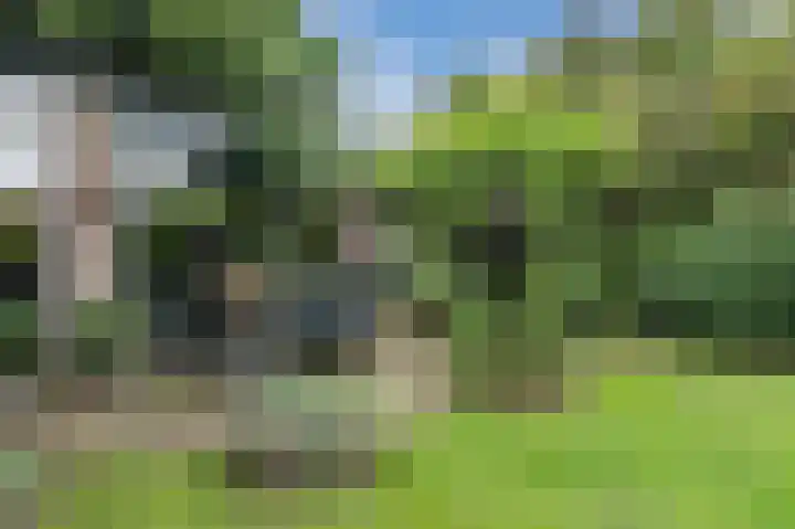Distellaar 36 Veghel thumbnail 66