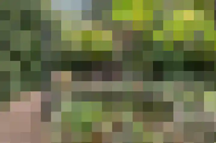 Distellaar 36 Veghel thumbnail 68