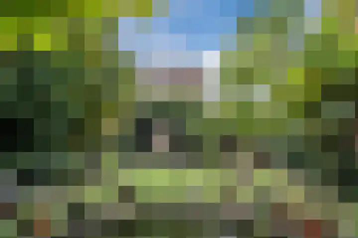 Distellaar 36 Veghel thumbnail 69
