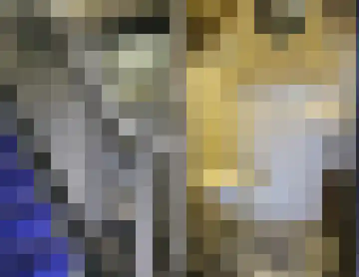 Distellaar 36 Veghel thumbnail 7