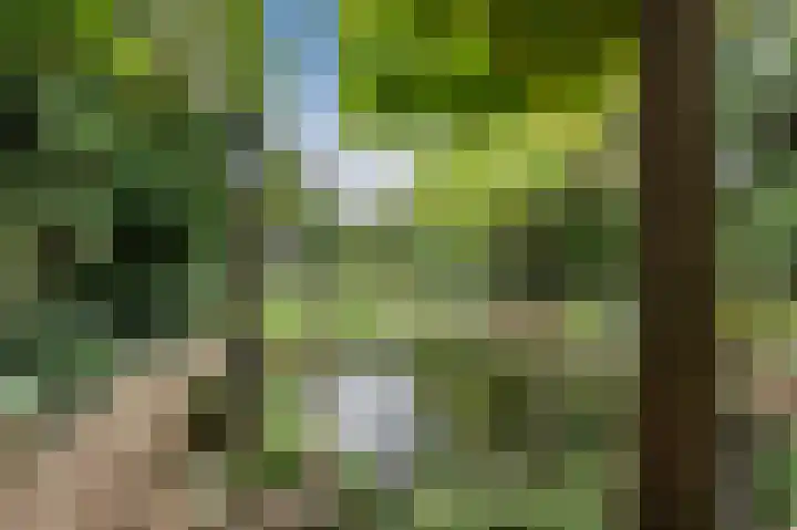 Distellaar 36 Veghel thumbnail 70