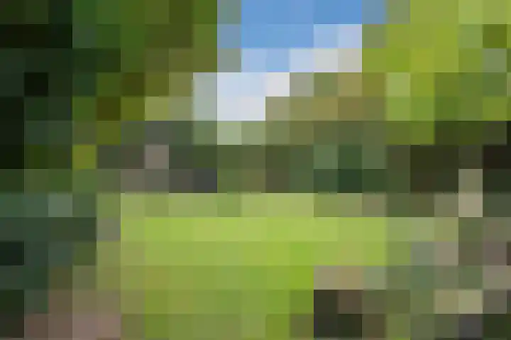 Distellaar 36 Veghel thumbnail 71