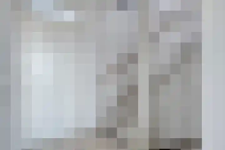 Distellaar 37 Veghel thumbnail 17