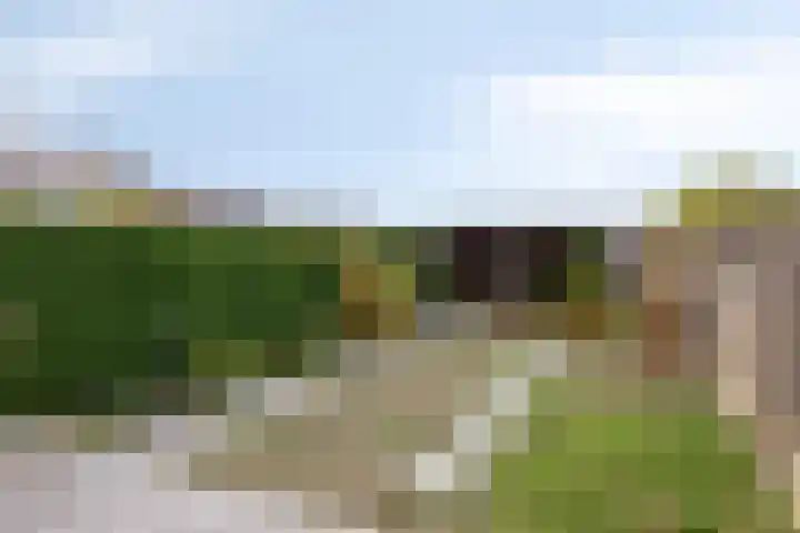 Distellaar 37 Veghel thumbnail 26