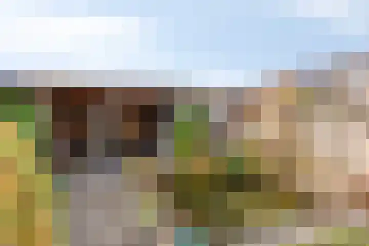 Distellaar 37 Veghel thumbnail 27