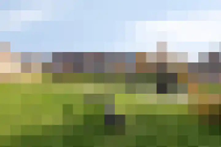 Distellaar 37 Veghel thumbnail 31