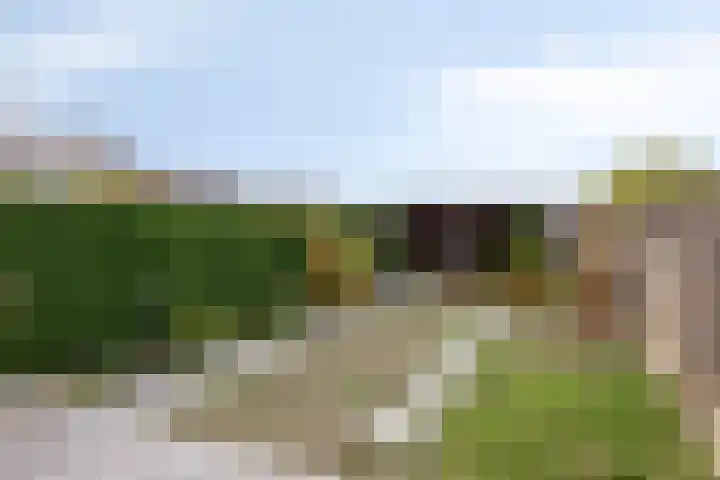 Distellaar 37 Veghel thumbnail 4