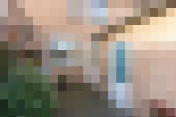 Distellaar 37 Veghel thumbnail 5