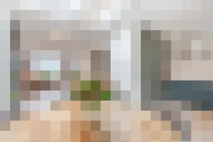Distellaar 38 Veghel thumbnail 17