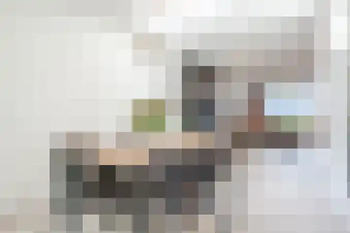 Distellaar 38 Veghel thumbnail 18