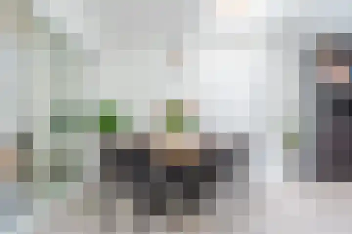 Distellaar 38 Veghel thumbnail 19