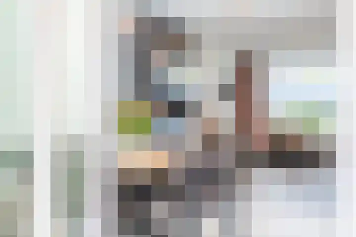 Distellaar 38 Veghel thumbnail 20