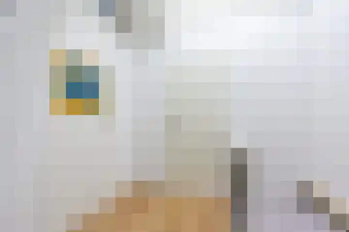 Distellaar 38 Veghel thumbnail 32