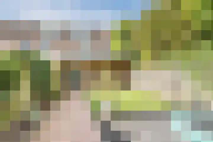 Distellaar 38 Veghel thumbnail 36