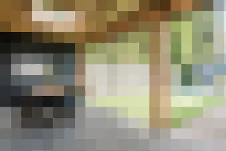 Distellaar 38 Veghel thumbnail 37