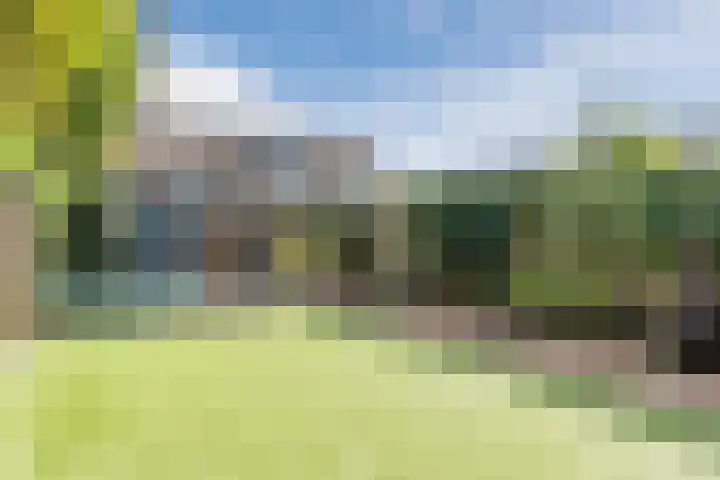 Distellaar 38 Veghel thumbnail 38