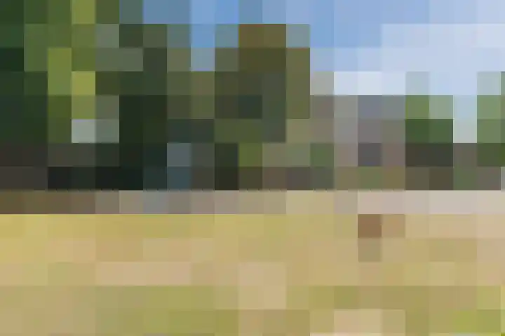 Distellaar 38 Veghel thumbnail 41