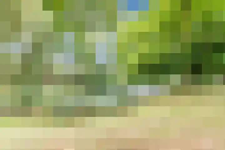 Distellaar 38 Veghel thumbnail 43