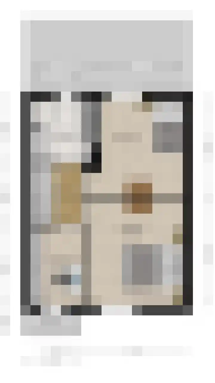 Distellaar 38 Veghel thumbnail 46