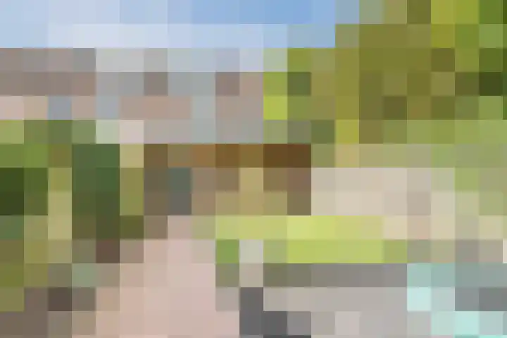Distellaar 38 Veghel thumbnail 5