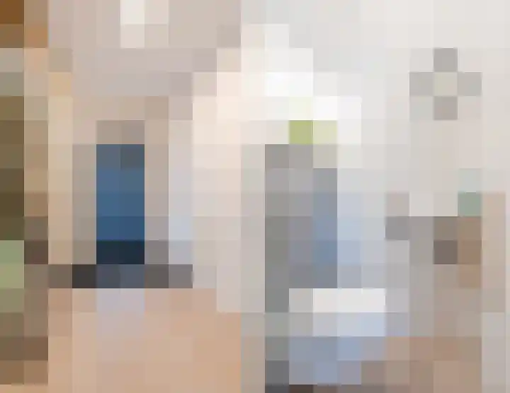 Distellaar 38 Veghel thumbnail 8