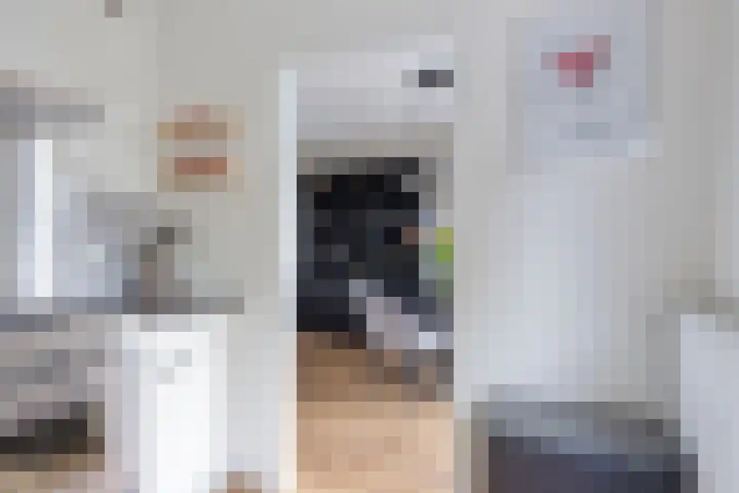 Distellaar 45 Veghel thumbnail 11