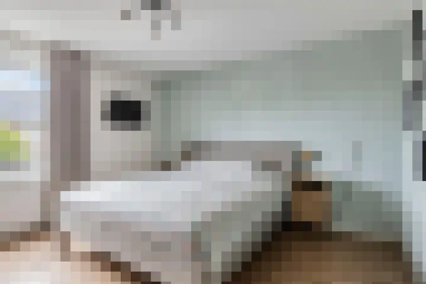 Distellaar 45 Veghel thumbnail 13