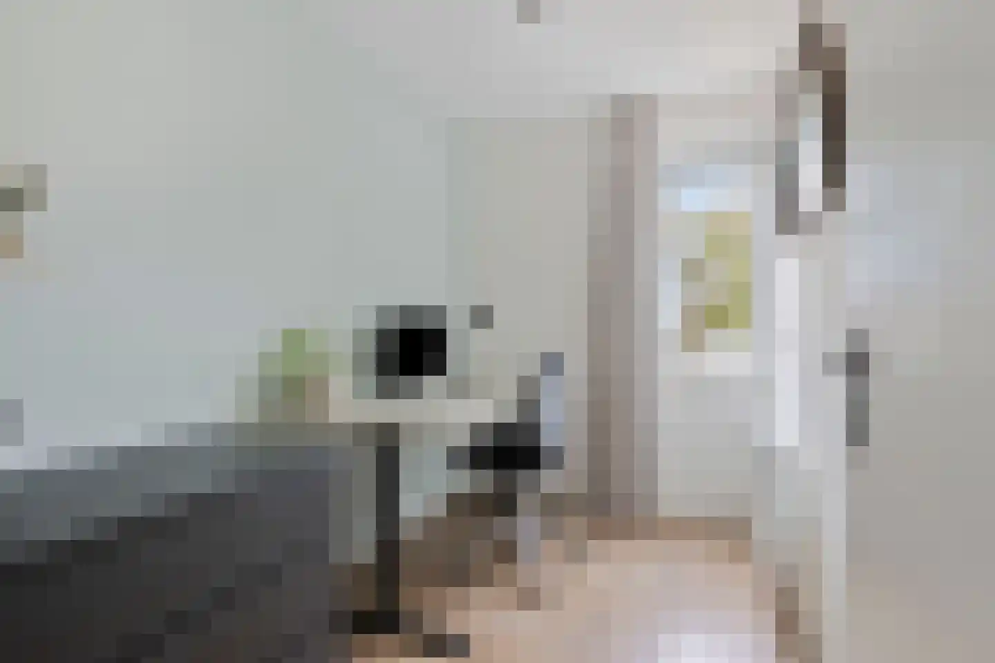 Distellaar 45 Veghel thumbnail 20