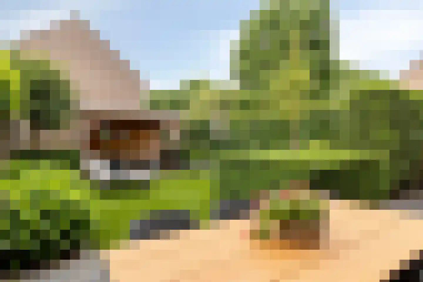 Distellaar 45 Veghel thumbnail 21