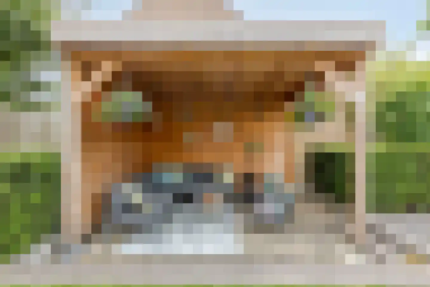 Distellaar 45 Veghel thumbnail 25