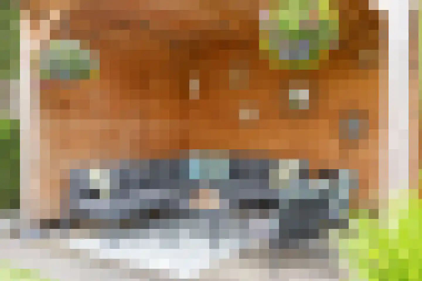 Distellaar 45 Veghel thumbnail 26