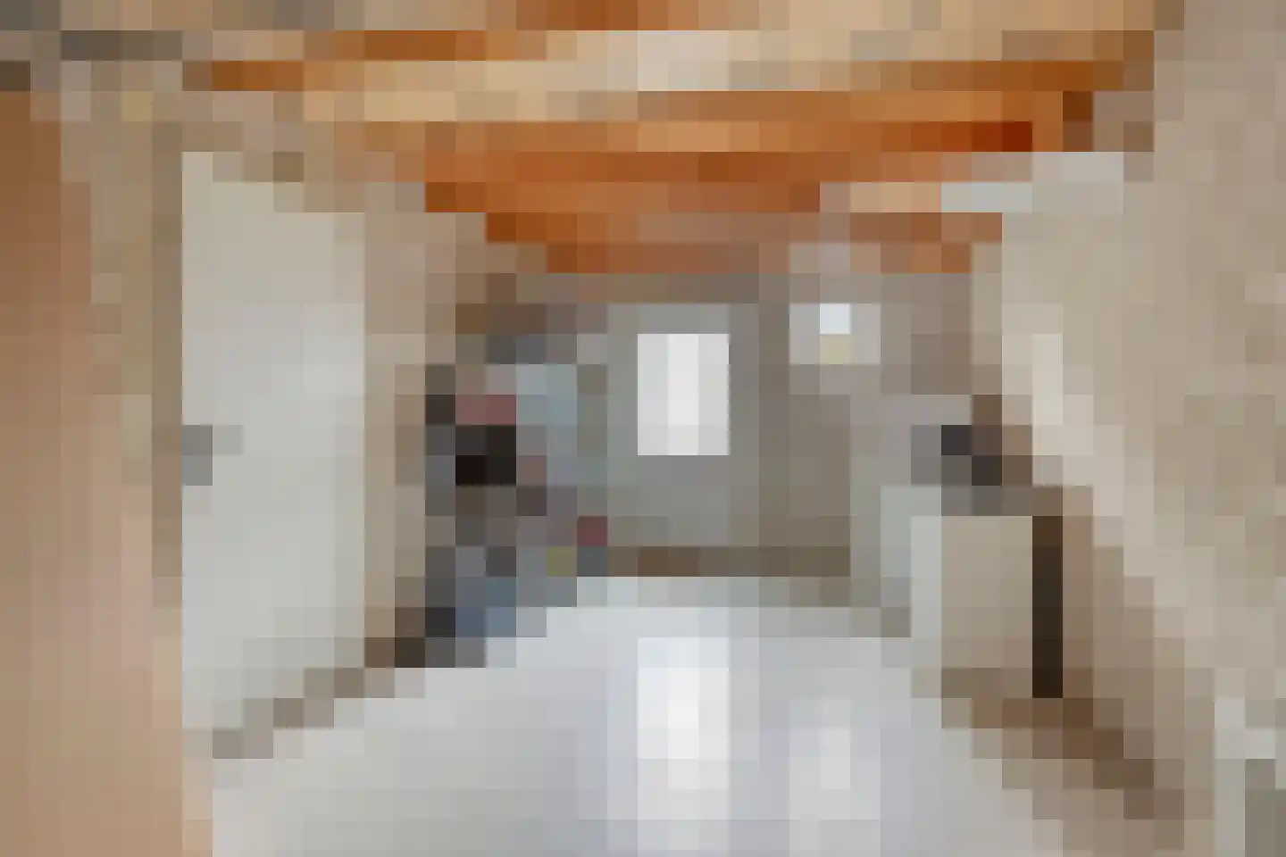 Distellaar 45 Veghel thumbnail 27