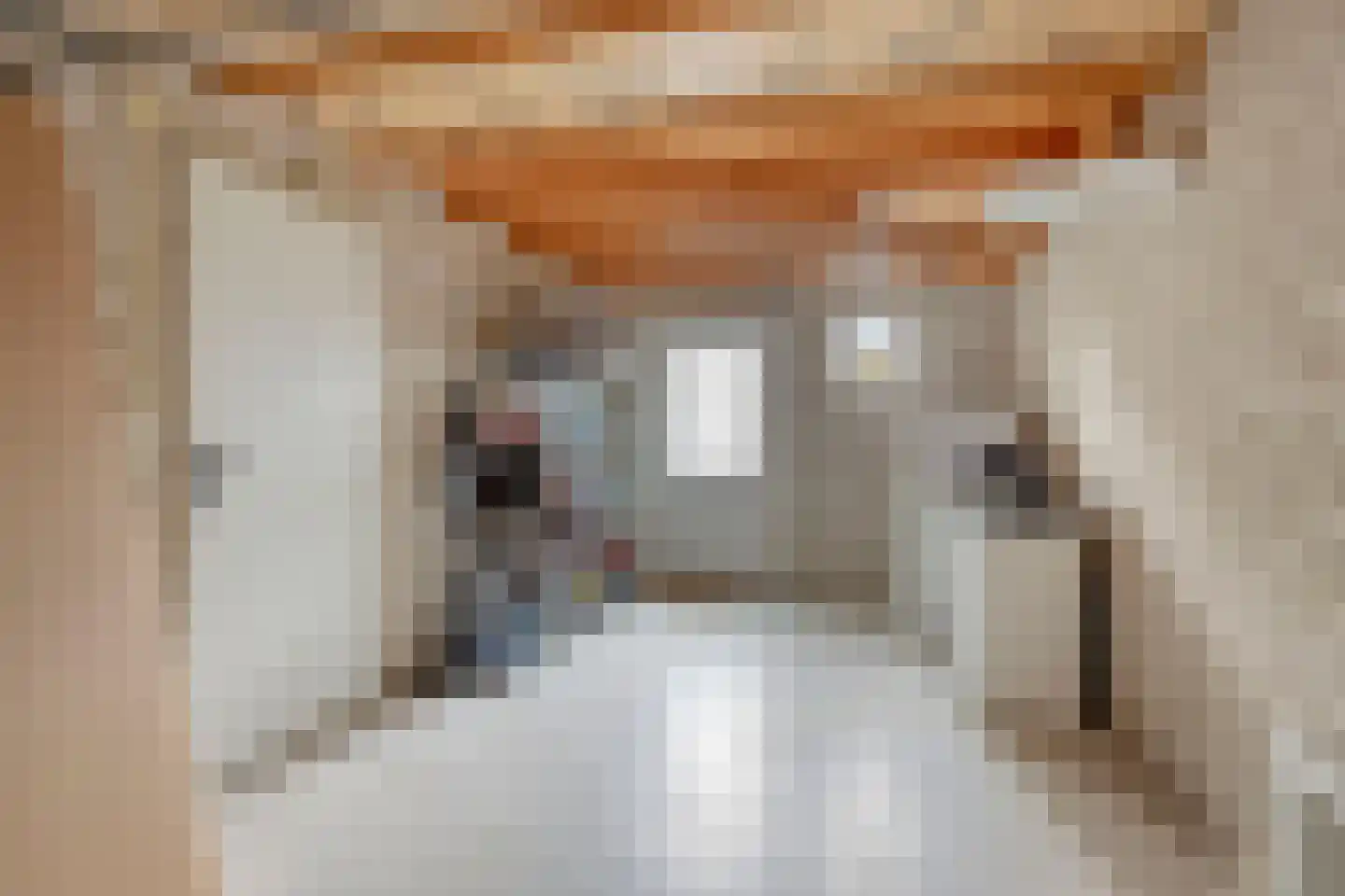 Distellaar 45 Veghel thumbnail 30