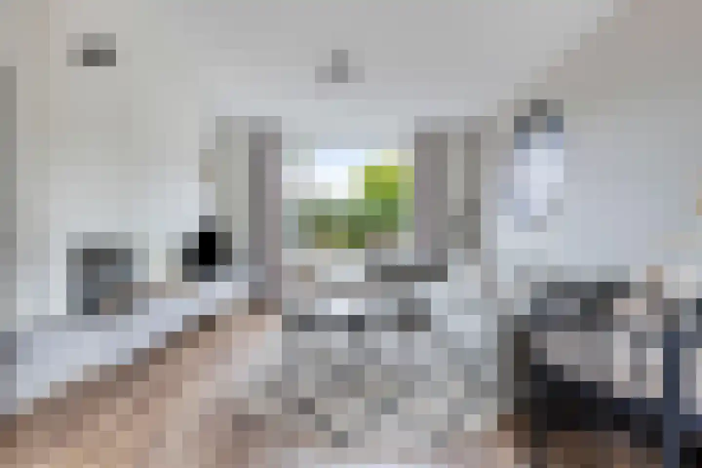 Distellaar 45 Veghel thumbnail 5