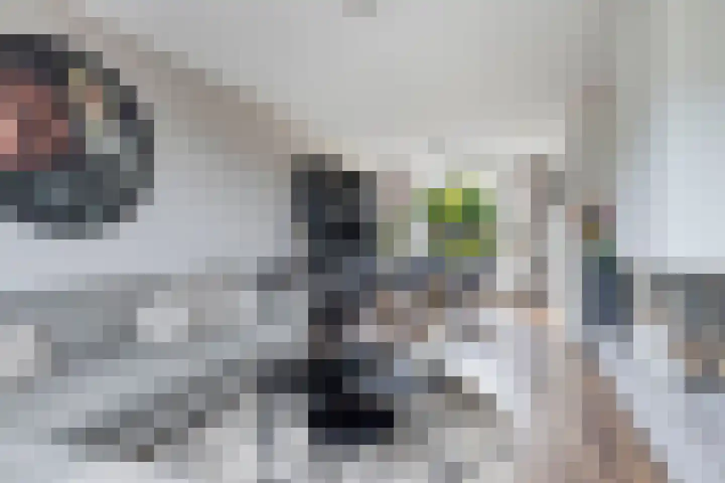 Distellaar 45 Veghel thumbnail 6