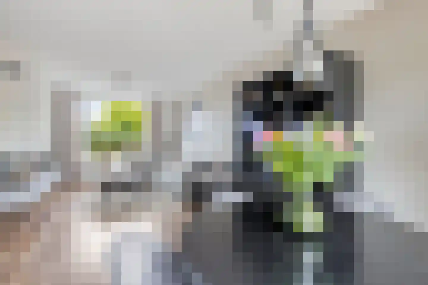 Distellaar 45 Veghel thumbnail 8