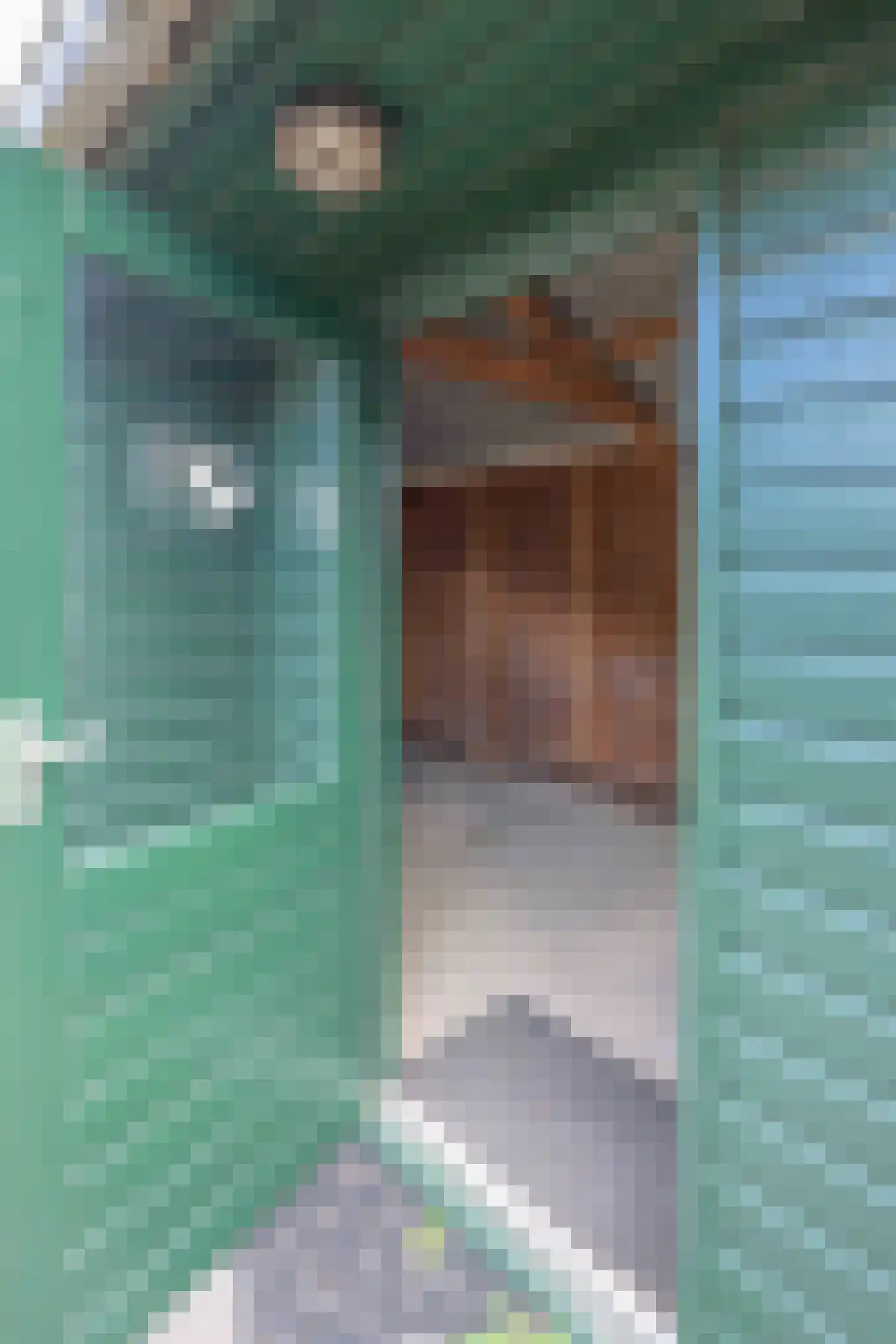Distelstraat 10 Emmeloord thumbnail 19