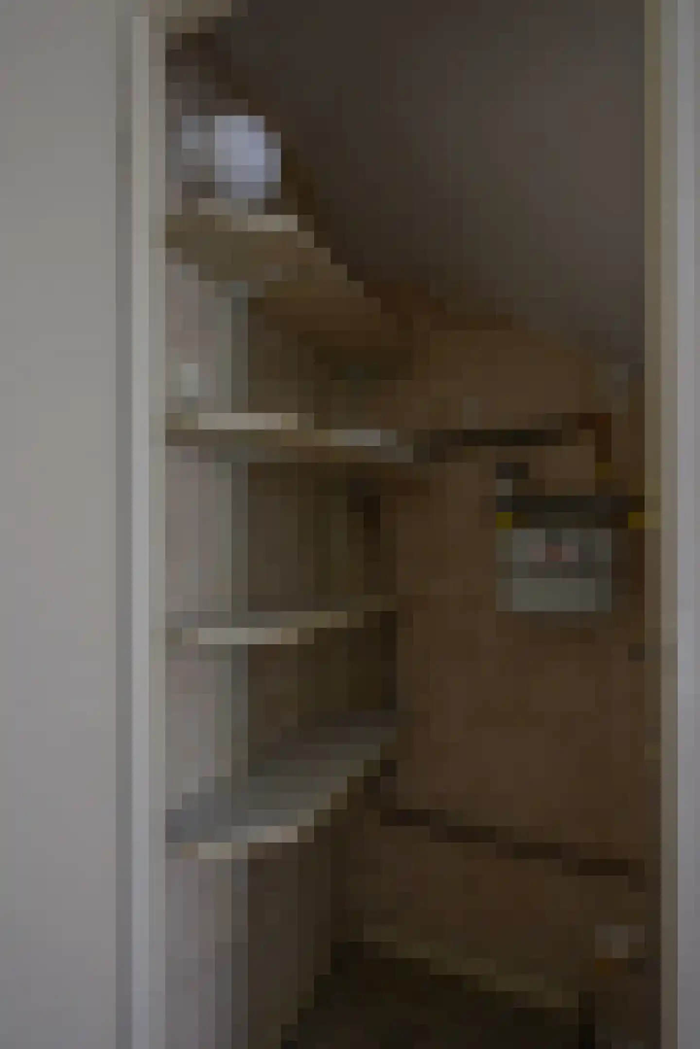 Distelstraat 10 Emmeloord thumbnail 5