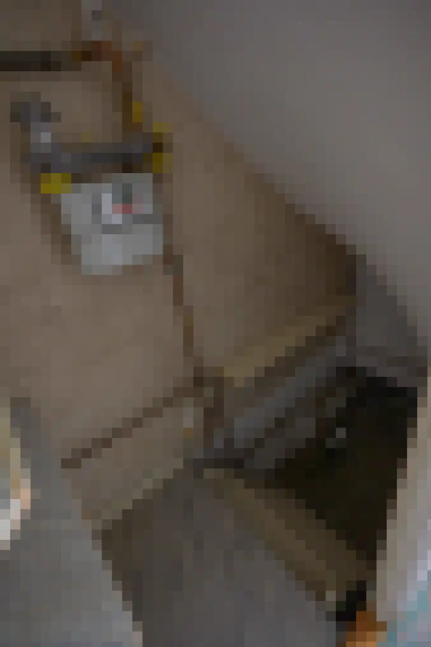 Distelstraat 10 Emmeloord thumbnail 6