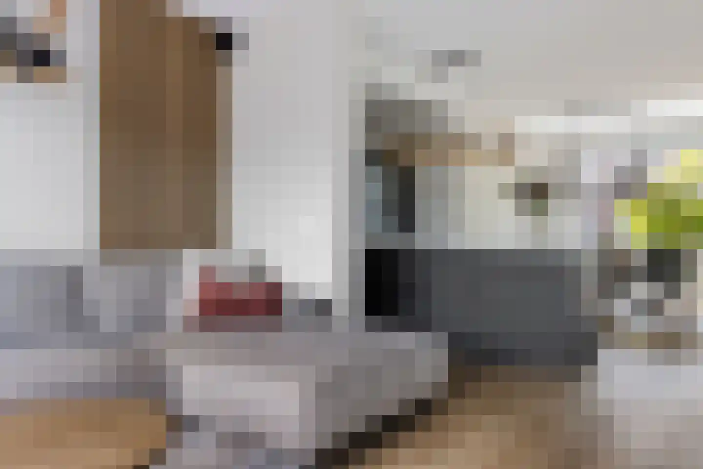 Distelstraat 20 Emmeloord thumbnail 15