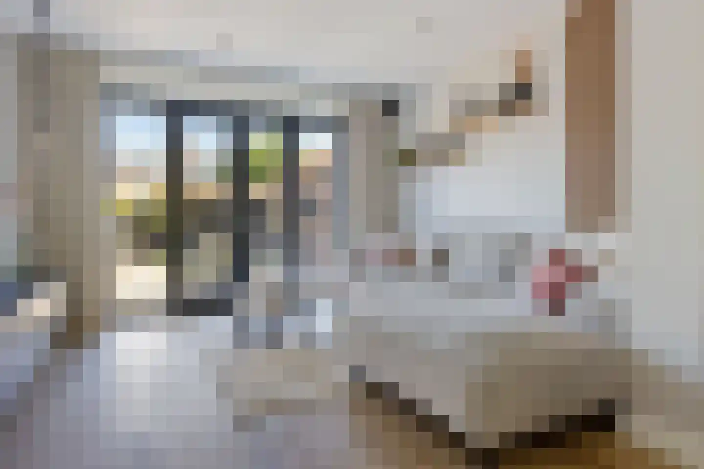 Distelstraat 20 Emmeloord thumbnail 17