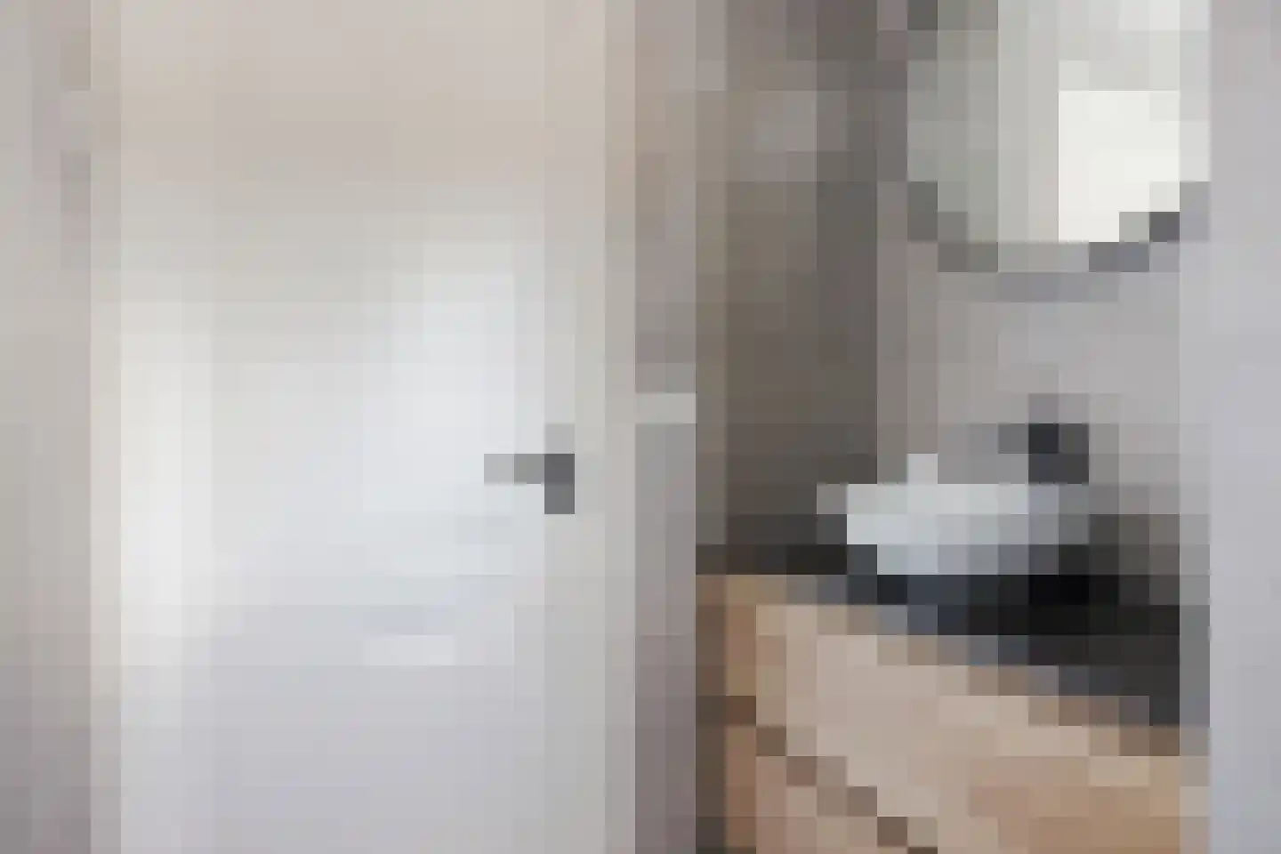 Distelstraat 20 Emmeloord thumbnail 23