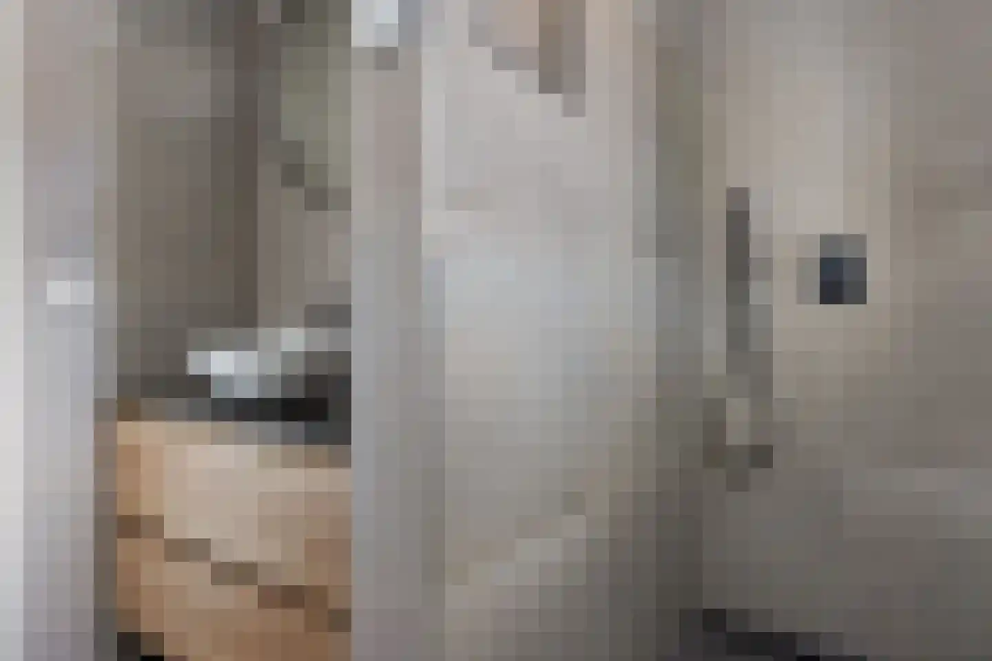 Distelstraat 20 Emmeloord thumbnail 24