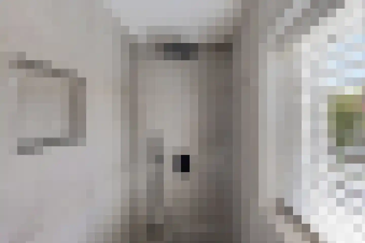 Distelstraat 20 Emmeloord thumbnail 25