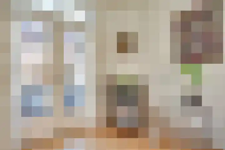 Distelstraat 25 Eindhoven thumbnail 15