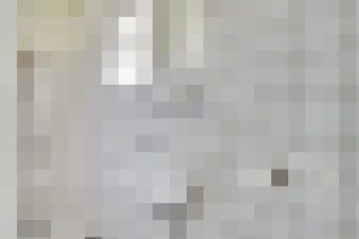 Distelstraat 25 Eindhoven thumbnail 19