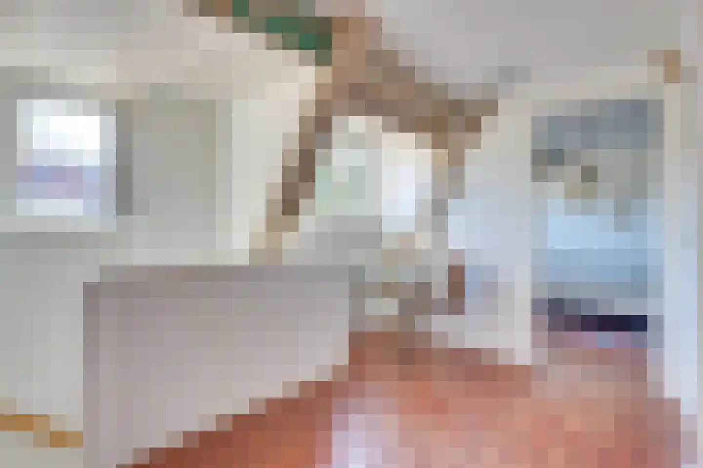 Distelstraat 25 Eindhoven thumbnail 28