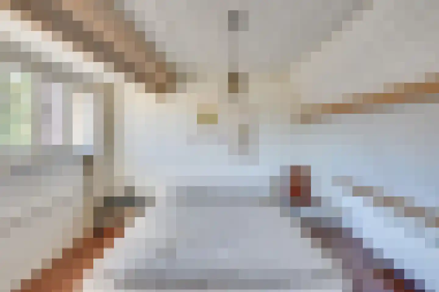 Distelstraat 25 Eindhoven thumbnail 29
