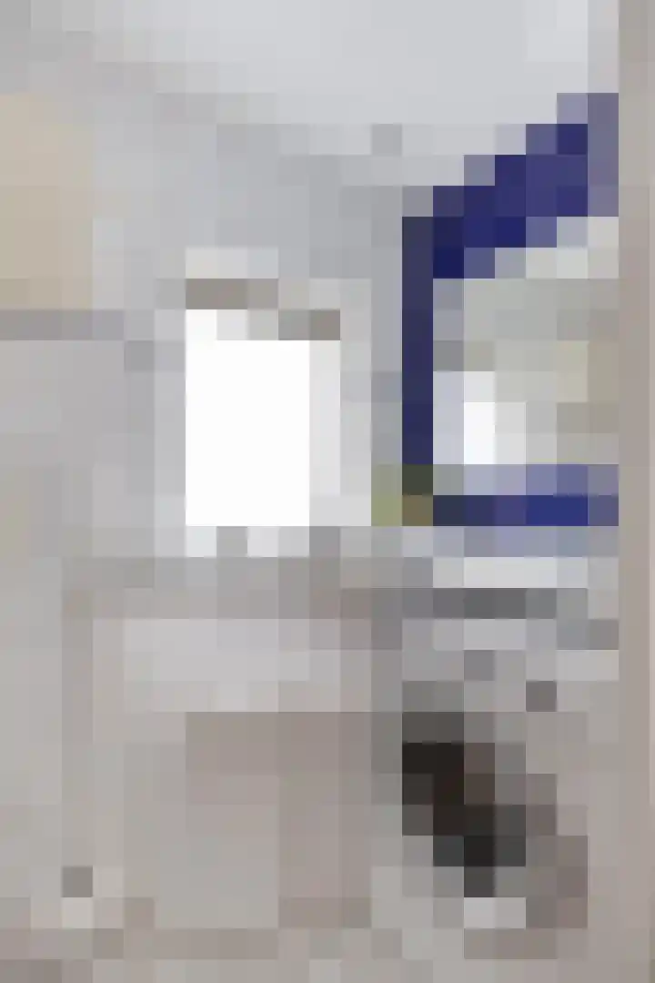 Distelstraat 26 Oisterwijk thumbnail 21
