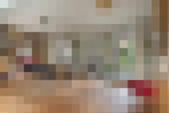 Distelstraat 26 Oisterwijk thumbnail 9